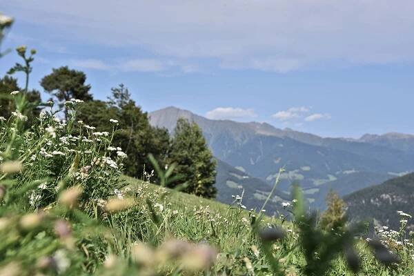 Apartments Schönblick in Spinges - Südtirol ▷ Gitschberg Jochtal