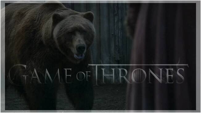 #nivoslider-133-caption-1
