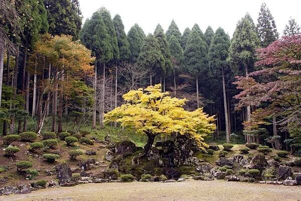 Suwa Yakata-ato Garden of Ichijodani Asakura Family Historic Ruins in Fukui, Fukui prefecture