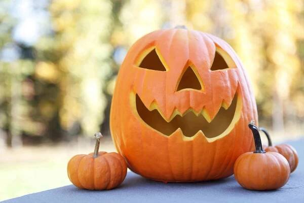 Skip This Step When Carving a Pumpkin If You Want It to Last Through Halloween
