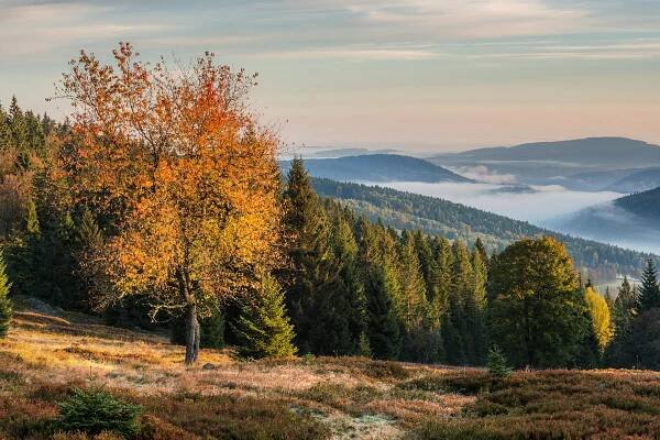 Podzimní Šumava :: Šumavské pohledy