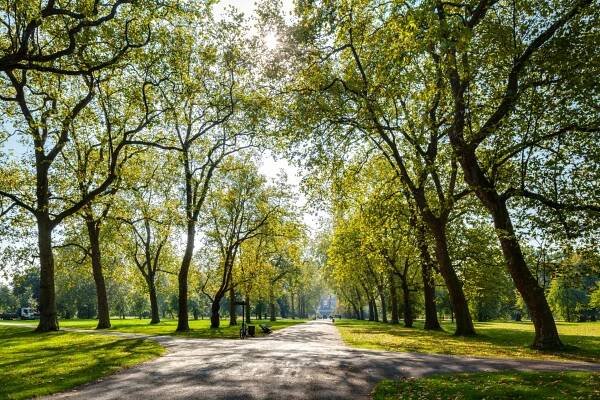 All you need to know about visiting Hyde Park