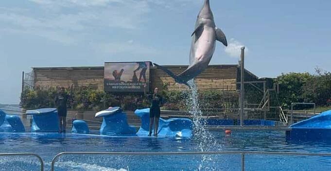Costa d'en Blanes: Entry Ticket for Marineland Mallorca | GetYourGuide