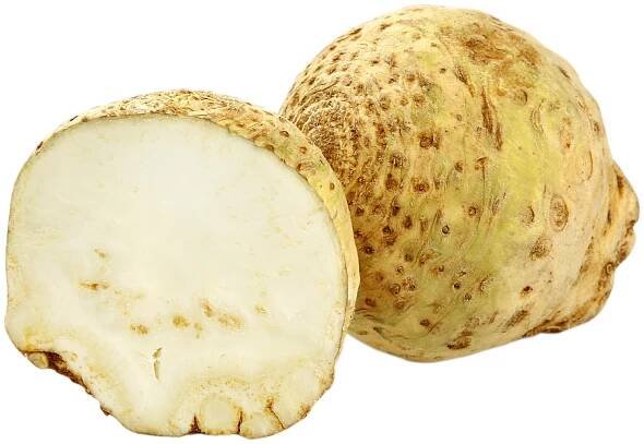 Celer bulvový cca 850g 1ks - ePultik.cz
