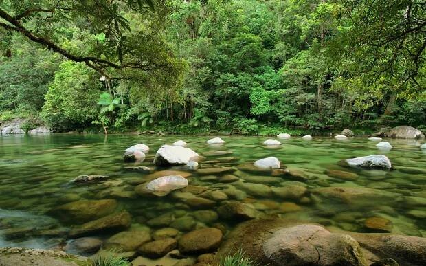 Daintree Rainforest Národní Park mossman river