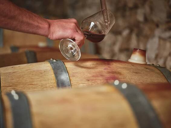 Bailoni-controllo-vino-barrique-min