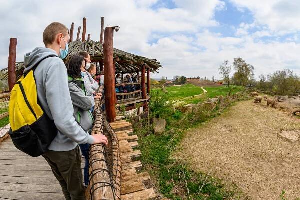 Narvané parkoviště, fronty před vstupem. Safari park přilákal přes 3 tisíce lidí