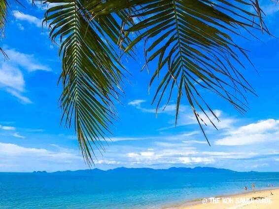Koh Samui in August: Weather, What to Expect and Your FAQs