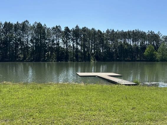 Bay Branch Plantation - Southeastern Farm Brokers