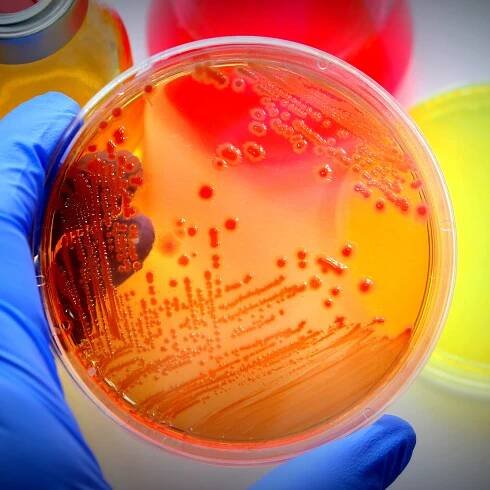 Biotech Agentur Unternehmensberatung Beratung Consulting