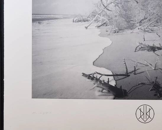 Jan Jedlička - Maremma, heliogravura