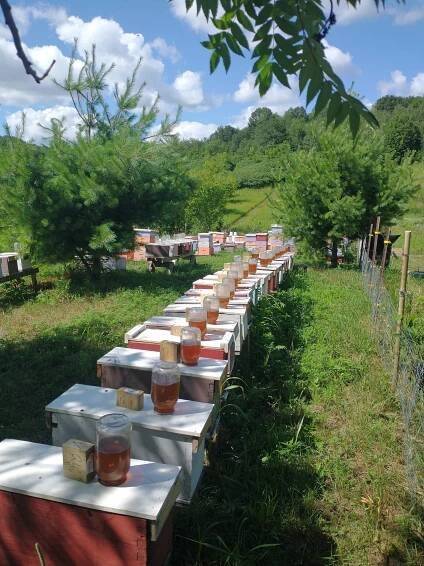 New Blog — Hay Creek Honey Bees