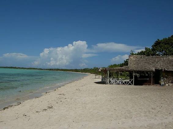 Cayo Coco - Wikipedia