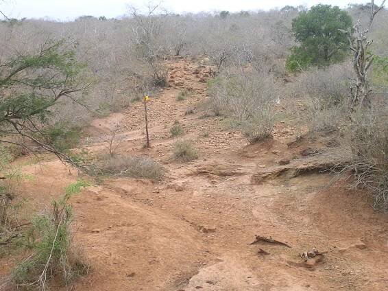 Umba Valley, Tanzania - Color First