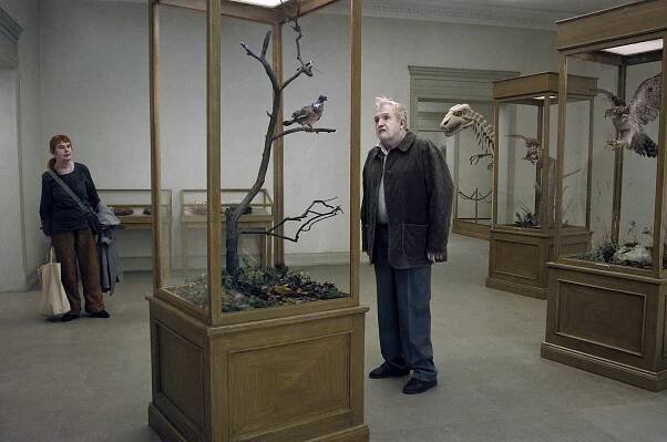 A Pigeon Sat on a Branch Reflecting on Existence