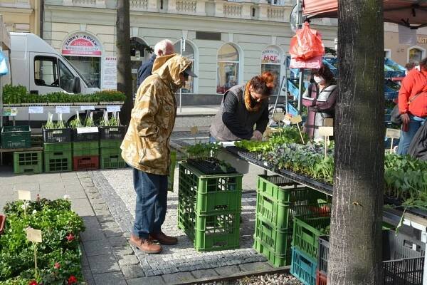 OBRAZEM: Tradiční lounské farmářské trhy proběhly letos poprvé