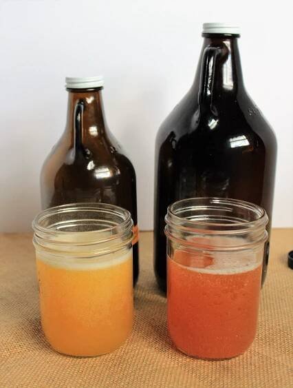 kombucha-ready