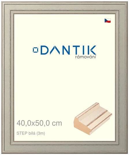 DANTIK rámeček na obraz 40x50