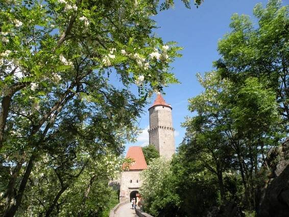 Fotogalerie - Zvíkov