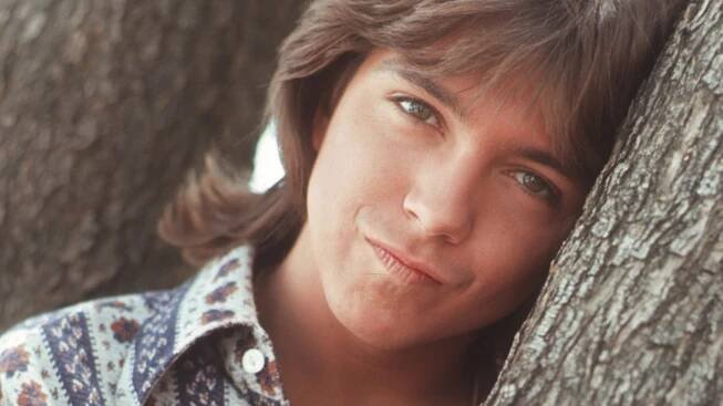 David Cassidy: Naked Lunch Box