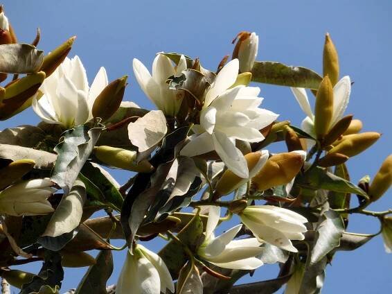 Slideshow image