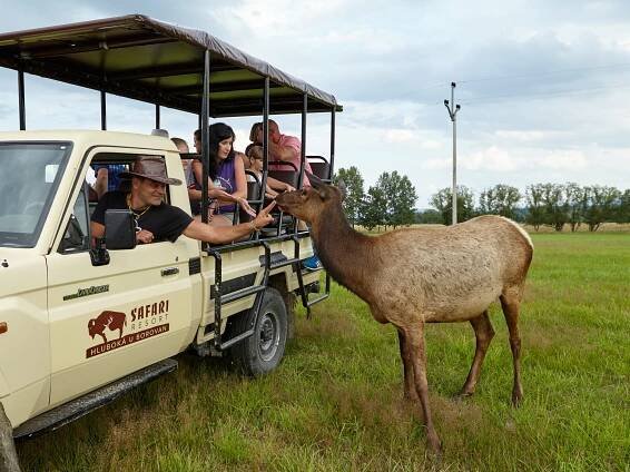 Safari Resort Hluboká u Borovan