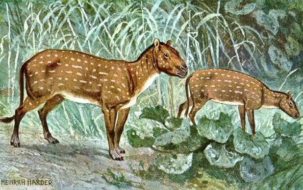 Hyracotherium – Wikipedie