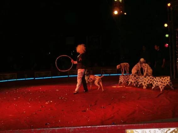 2012-10-25 – Národní cirkus Jo-Joo – Havlíčkův Brod – Cirkusoviny.cz