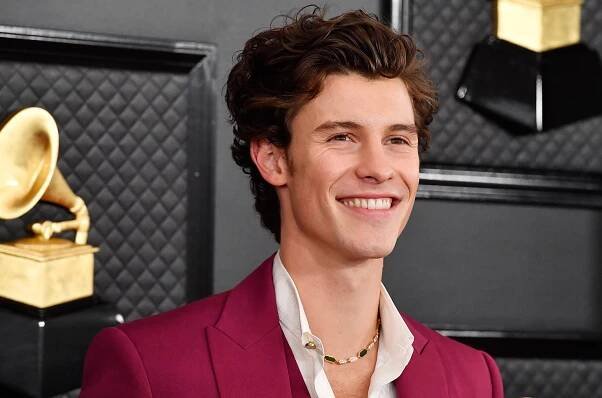 Shawn Mendes Joins 'Life Is Strange' Series as Executive Producer