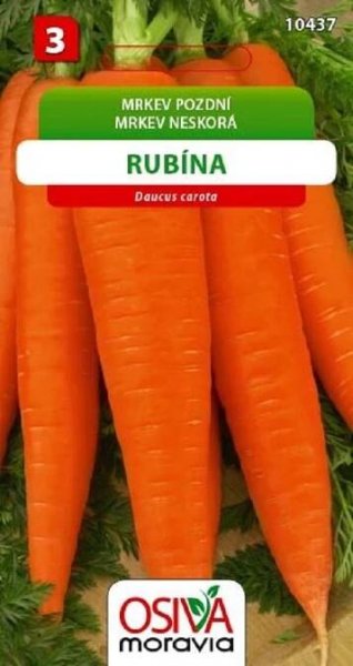 Semínka Mrkev pozdní Rubína (Daucus carota)