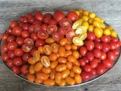 Rajčata BIO cherry mix