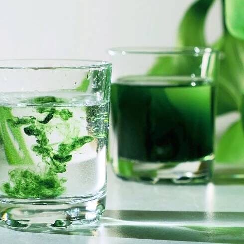 Best Organic Liquid Chlorophyll Supplements In 2024