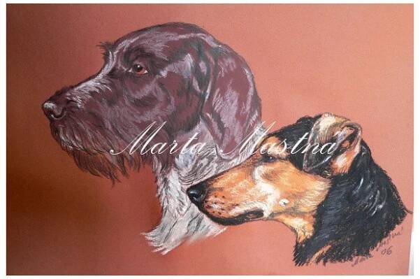 Jagdteriér a český fousek, pastel
