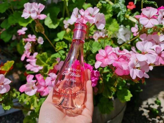 Cool Water Woman Sea Rose Pacific Summer Edition Davidoff pro ženy