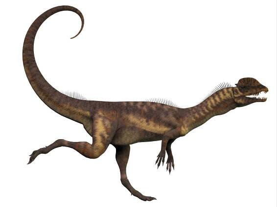 Dilophosaurus profil — Stock obrázek