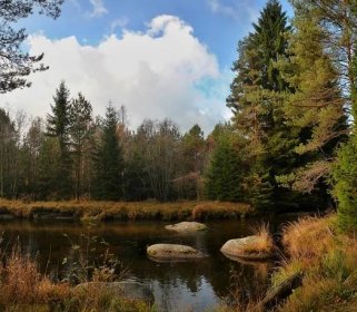 NÁRODNÍ PARK ŠUMAVA: Černé scénáře se nenaplnily aneb Důkazy o tom, jak se uzdravuje šumavská přírodaZa krásnější Vimperk
