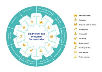 Circular diagram displays ten categories included in the Biodiversity and Ecosystem Services Index. The ten ecosystem services included are habitat intactness; pollination; air quality and local climate; water security; soil fertility; erosion control; coastal protection; flood provision; and, timber provision.