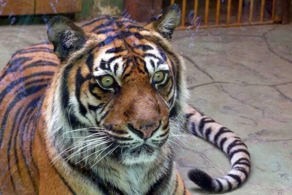 Zoologická zahrada města Brna foto 1