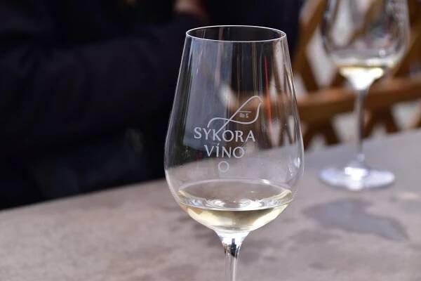 Fotografie - Čejkovice - Víno Sýkora - 18.05.2024