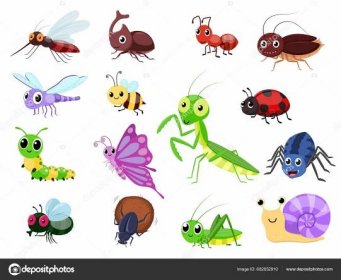 Stáhnout - Vektorové ilustrace sbírek kreslených hmyzem, roztomilý motýl, mravenec, moucha, brouci, včela, vážky, pavouk, beruška, kobylka, housenka, červ, šnek a brouk — Ilustrace