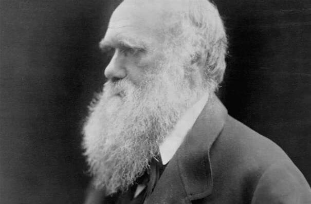 How Charles Darwin Worked