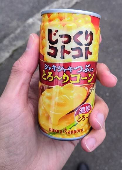 Exceptional japanese cuisine – wandering sneakers
