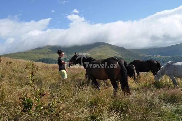 Poznávací zájezdy Rumunsko, , | New Travel.cz