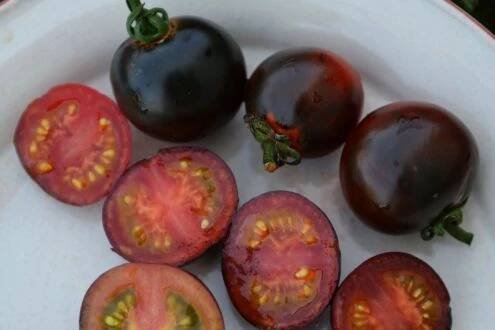 INDIGO CHERRY DROPS