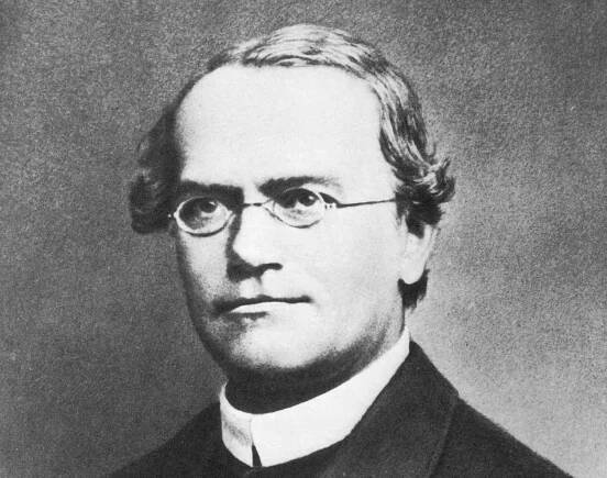Gregor Mendel's Unique Experiments Made Him the Father of Genetics