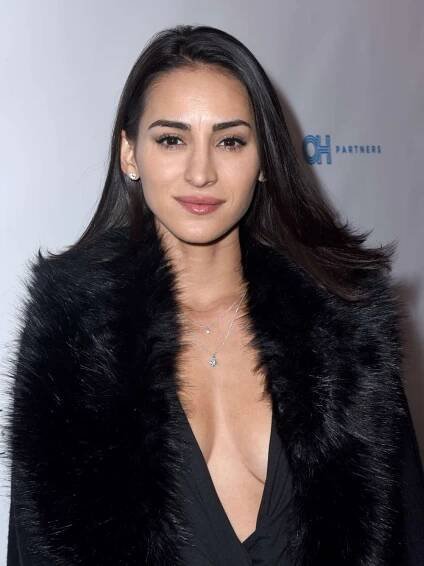herie Jimenez attends the 2nd Annual Childhelp Hollywood Heroes Benefit on November 13, 2018 in Los Angeles, California.