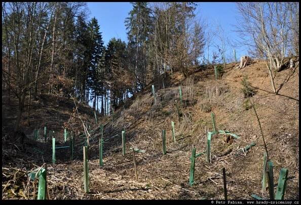 Horní Lhotice – horní hrádek – fotografie / hrady-zriceniny.cz