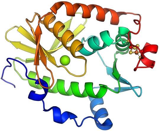 Cas4