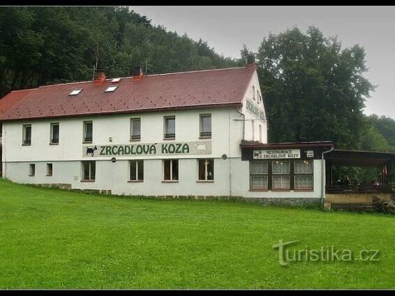 Zrcadlová koza