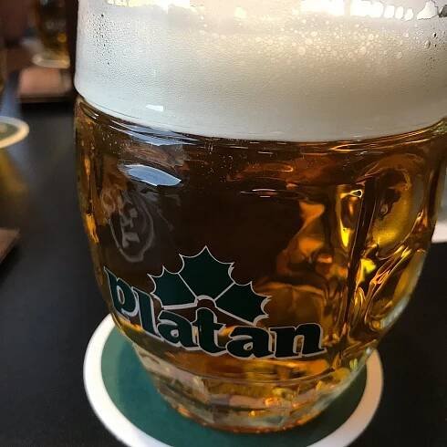 PIVNÍ RESTAURACE ŠNYT U MALŠE ČESKÉ BUDĚJOVICE, Ceske Budejovice - Menu, Prices & Restaurant Reviews - Tripadvisor